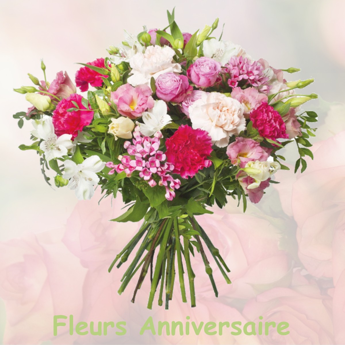 fleurs anniversaire SAINT-SORLIN-DE-VIENNE