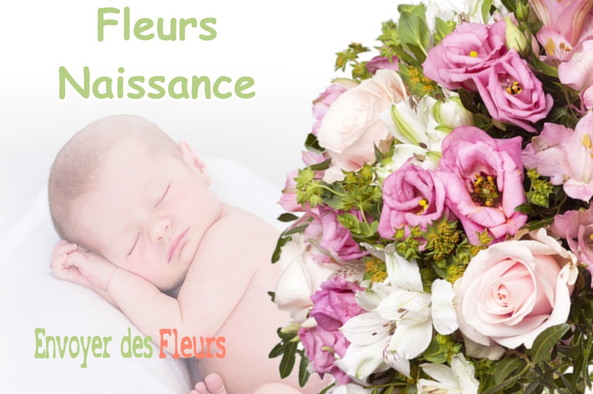 lIVRAISON FLEURS NAISSANCE à SAINT-SORLIN-DE-VIENNE